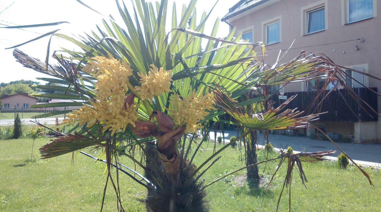 Zajazd Pulaskiego คอนสแตนชิน-เยซออร์นา ภายนอก รูปภาพ
